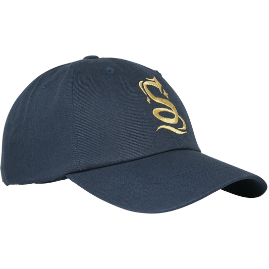 Stolas Style Dad Hat *LIMITED RUN* – Shark Robot