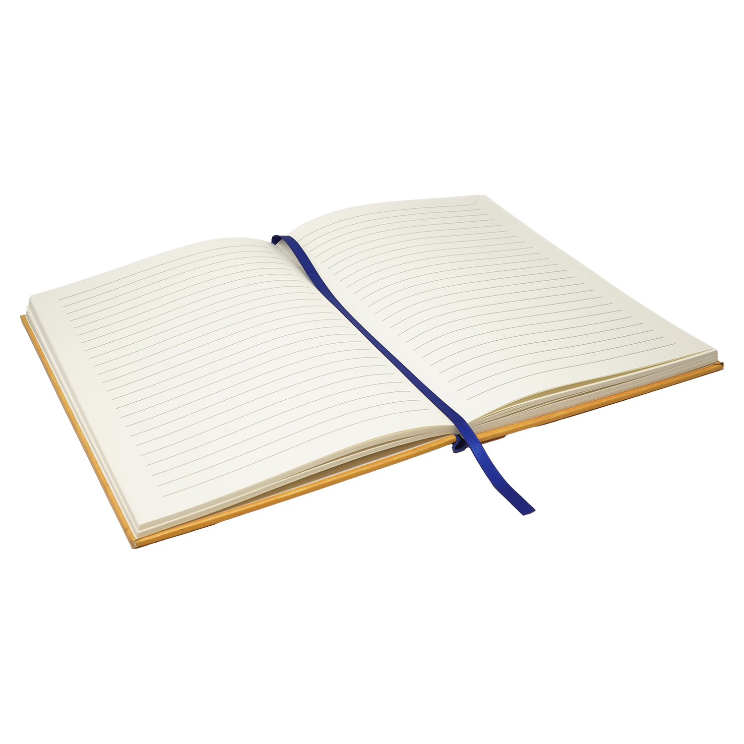 Monthly Notebook Set Young Stolas Notebook + Pen Set *LIMITED STOCK* – Shark Robot