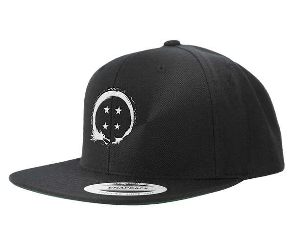Team Four Star Logo Snapback – Shark Robot
