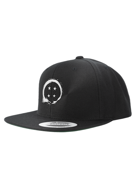 Team Four Star Logo Snapback