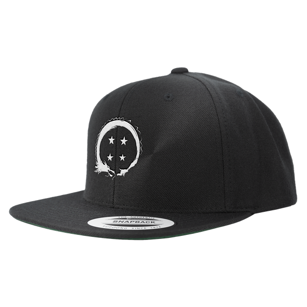 Team Four Star Logo Snapback – Shark Robot