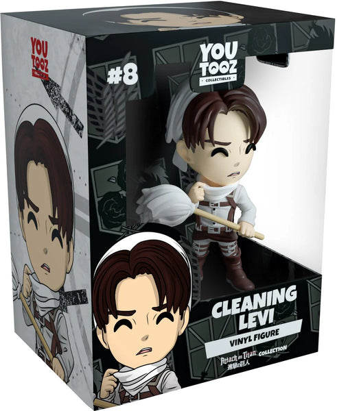 cleaninglevi_box_final-
